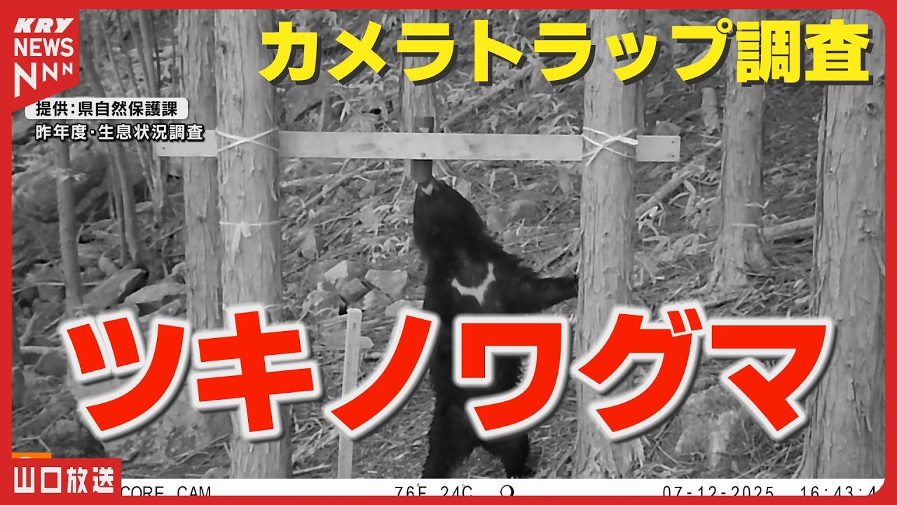Expanding Habitat] Bears Near Residential Areas… Increasing