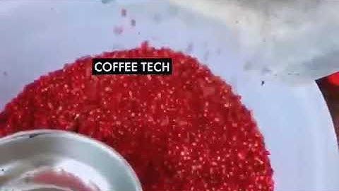 Coffee Tech colour sorter for coffee cherry