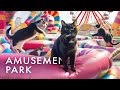 🎡 Cats Adventure in Amusement Parks 🎈