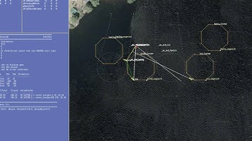 Swarm Unmanned Surface Vehicles Collision Avoidance Demonstration