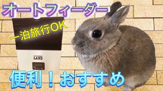 #5【うさぎのオートフィーダー】一泊旅行の強い味方、ウサギの自動餌やり機！久々の設置で大混乱