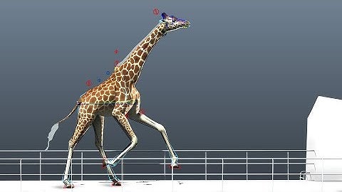 Maya 2019 Cached Playback