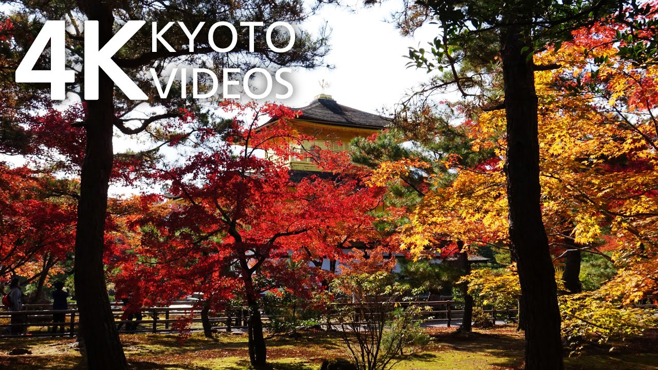 京都・金閣寺の紅葉 Kyoto Japan 4K 動画 Autumn leaves FDR-AX100