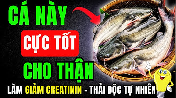 Thận yếu, Creatinine cao?  4 Loại cá bạn ăn an toàn và 4 loại cá bạn không bao giờ nên chạm vào