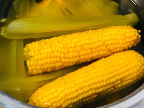 Video: Kako Kuhati Kukuruz U Loncu
