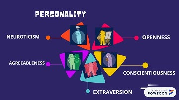 PSYCHOGRAPHICS SEGMENTATION (PERSONALITY)