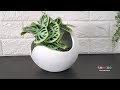 Plant pot making with balloons easy diy flower vase making with balloons