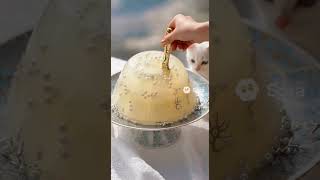 BEST Satisfying Cutting & Toast Spreading Compilation! | AI ASMR