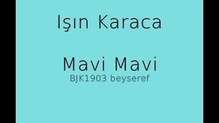 Mavi mavi Işın Karaca Resimi