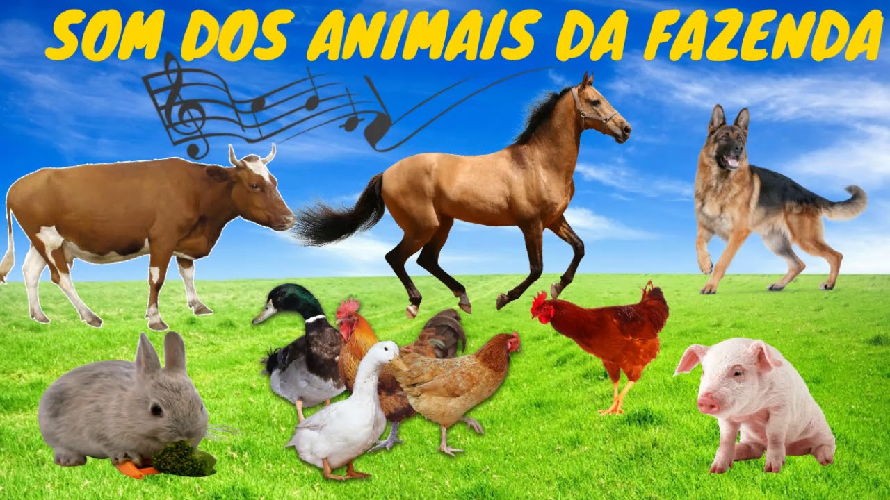 Som Dos Animais Da Fazenda Nome E Som Dos Animais Da Fazenda Em