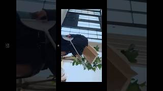 BOYNEXTDOOR 5th EP [The Action] Track 2. Hollywood Action