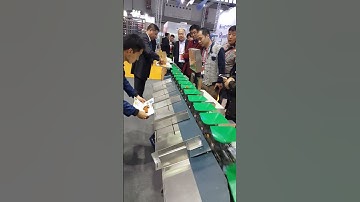 Box type multi head weigher sorting machine practical case exhibition.#weighingscale #weightsorting