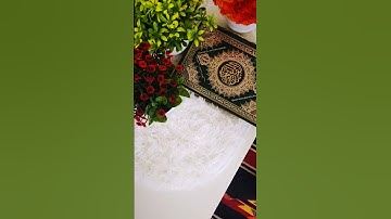 تلاوة من سورة العنكبوت من صلاة القيام للقارئ سراج الهوساوي #تراويح #قيام #رمضان #المدينه_المنورة