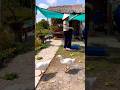 Lưới đài loan che nắng #ngocdiepvlog #shorts