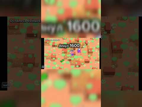Апнул 1600🏆, скоро 2000🏆!! #brawlstars #пустьзалетит #рек #бравлстарс #рекомендации #бравл #fyp #fyp