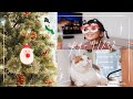 ふわふわ猫と大きなツリーとクリスマス