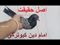 Pure Imam Deen Pigeon Quality Review