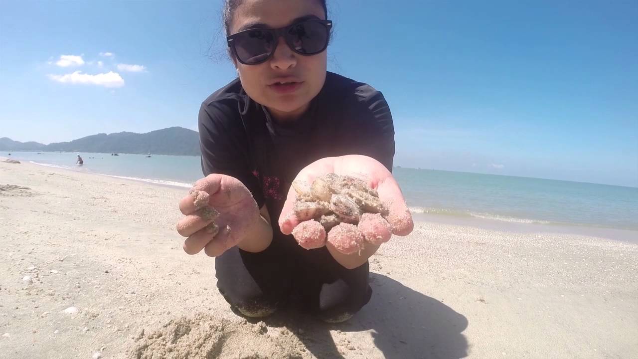 Mama O Travel Damai Laut Lumut Perak