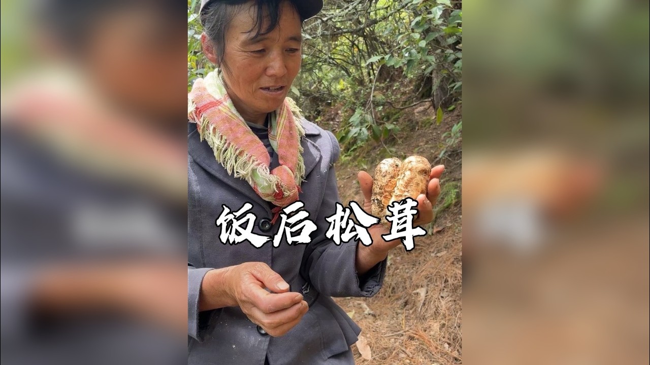吃完晚饭在离家几十米的地方，采到一斤多松茸是什么体验