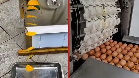 Most Skillful and Smart Workers I