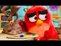 ANGRY BIRDS All Movie Clips (2016)