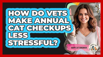 How Do Vets Make Annual Cat Checkups Less Stressful? - Happy Cat Handbook