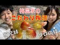 【梅酒】秘伝のコツご紹介！誰でも簡単に本格梅酒が作れます。