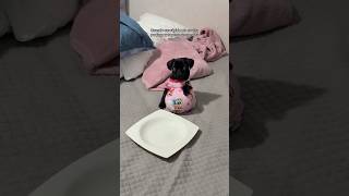 Monserrat luego de medio kilo de pollo🤰