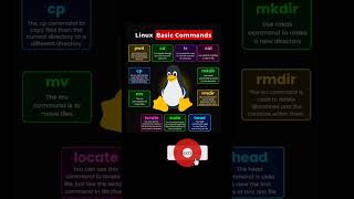 🔥 Top 10 Basic Linux Commands for Beginners | Learn Linux Fast 💻🐧#devops
