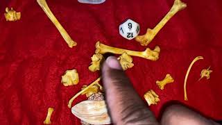 African Bone Reading New Year 2020