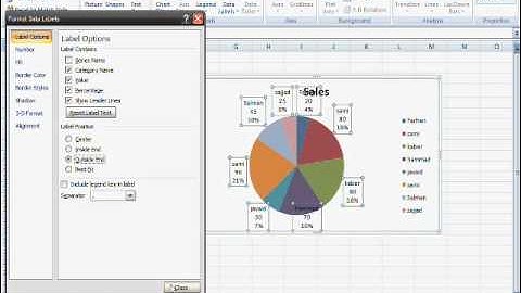 Excel Pie Chart in Urdu