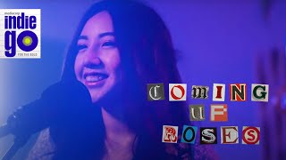 indiego RECESS ft. Coming Up Roses