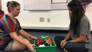 Wait Program Example - BARRIERS TO LEARNING WEBINAR