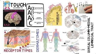 INSTANT NEURO - Touch