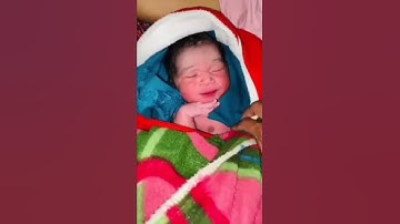 Pushpa Whatsapp Status | Allu Arjun Attitude Status | Pushpa Raj Mashup Status | Allu Arjun Dialogue