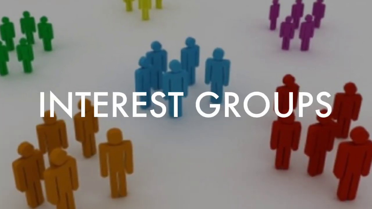 Interest Groups