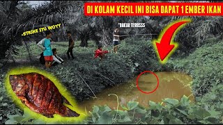 GOKIL!! BAKAR 1 EMBER IKAN HASIL MANCING DI KEBUN SAWIT!!