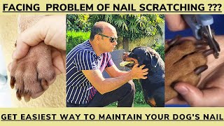 HOW EASY IS TO MAINTAIN YOUR DOG'S NAIL AT HOME|| BAADAL BHANDAARI || 9878474748||GermanShepherd