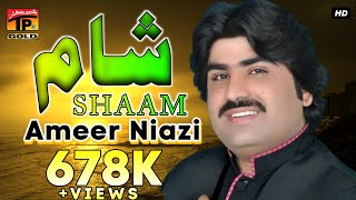 Shaam - Ameer Khan Niazi- امیر خان نیازی سرائیکی سونگ شام - Latest Saraiki Song - Thar Production
