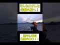 新しく橋が架かった島がパラダイス!#アナハゼティ #釣り #shorts #fishing