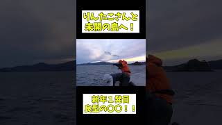 新しく橋が架かった島がパラダイス！#アナハゼティ  #釣り  #shorts  #fishing