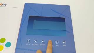 A4 cartoon video brochure