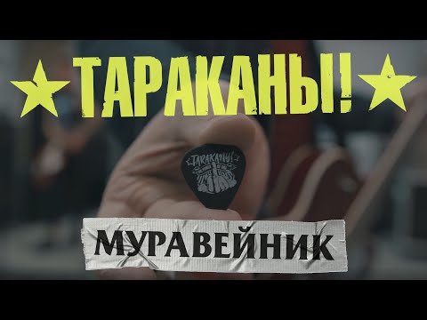 Тараканы! - Муравейник