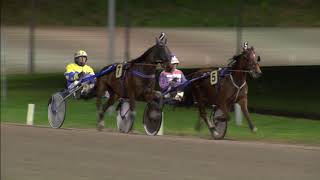 Vidéo de la course PMU PRIX BCM.NL (MERWESTAAL TALENT CHALLENGE) (INTERNET)