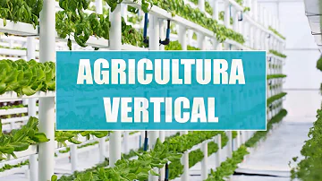 ¿Qué desventajas tiene la agricultura vertical?