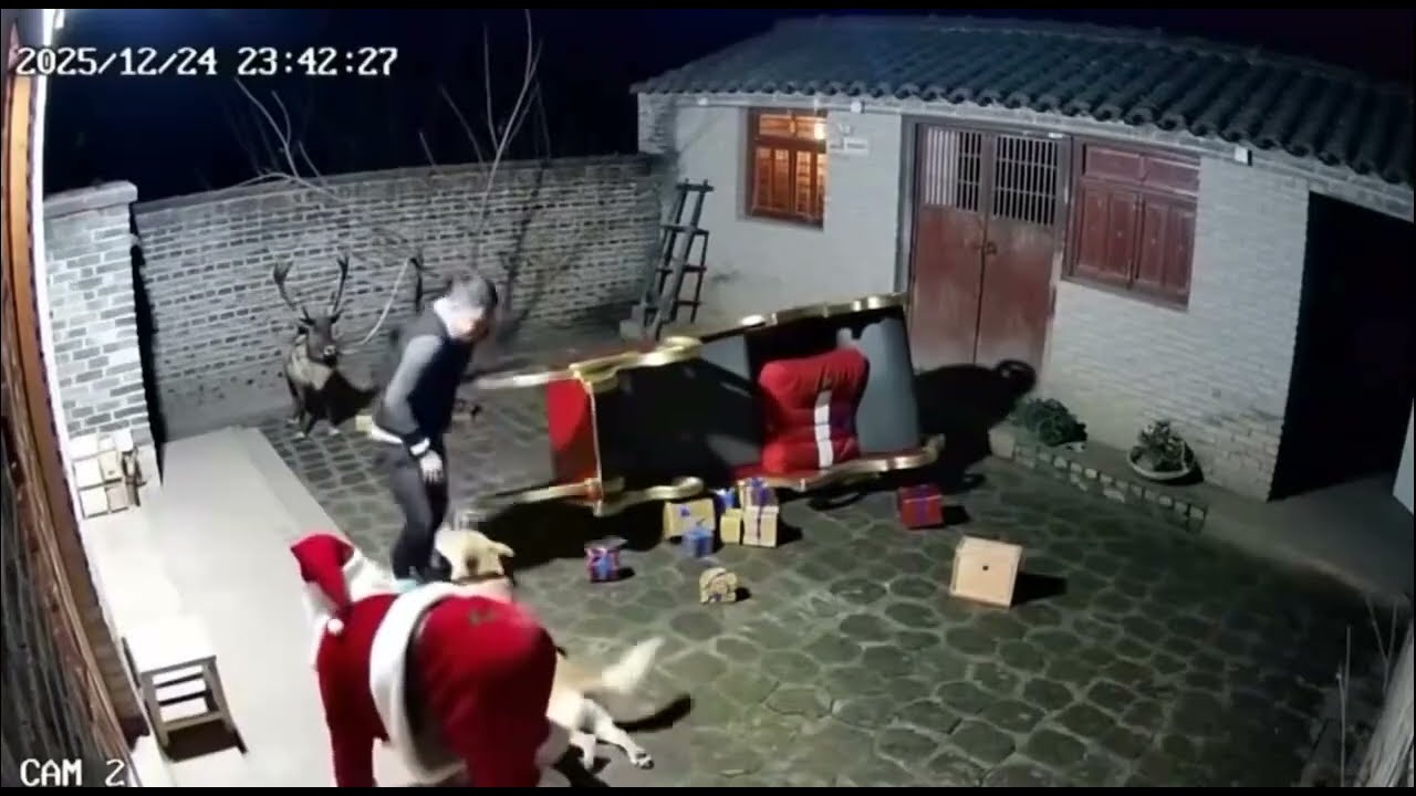 𝐒𝐚𝐧𝐭𝐚 𝐮𝐩𝐨𝐫 𝐬𝐞 𝐠𝐢𝐫𝐚, 𝐟𝐥𝐨𝐫 𝐦𝐚𝐲 𝐚𝐭𝐤𝐚 🤭🤣||  