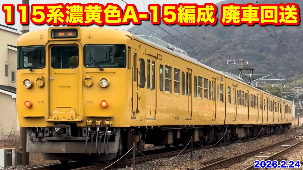 【JR西日本 115系濃黄色A-15編成 廃車回送 回8345M 2026.2.24】