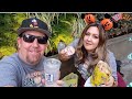 New Fall & Halloweentime Foods and Treats in Downtown Disney! Locations + Taste Testing!