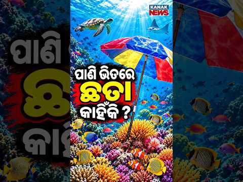 ସମୁଦ୍ର ତଳେ ଛତା! Spl Report On Underwater Umbrella for Coral Reefs | Scientists Test New Protection
