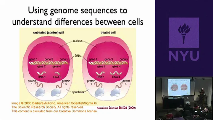 Natural Science II: Genomes and Diversity - Bacterial Genes and Genomes
